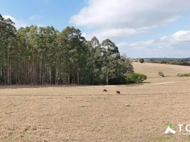 Terreno venda em Região Imediata de Itapetininga, Região Metropolitana de Sorocaba