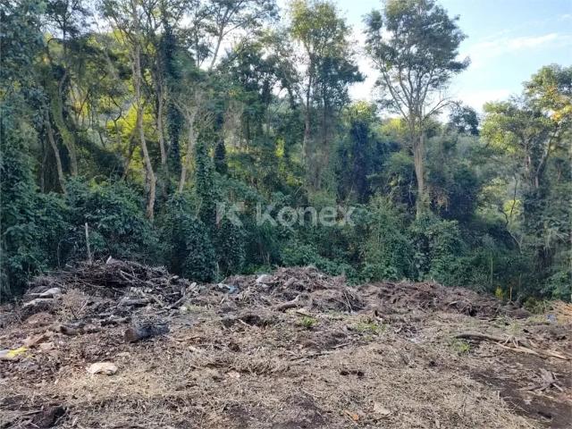 Terreno venda em Região Imediata de Itapeva, Itapeva