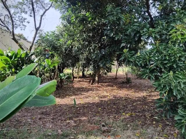Terreno venda em Região Imediata de Mogi Guaçu, Itapira