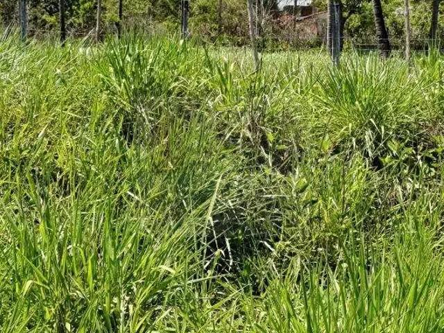 Terreno venda em Região Geográfica Imediata do Recife, Região Metropolitana do Recife