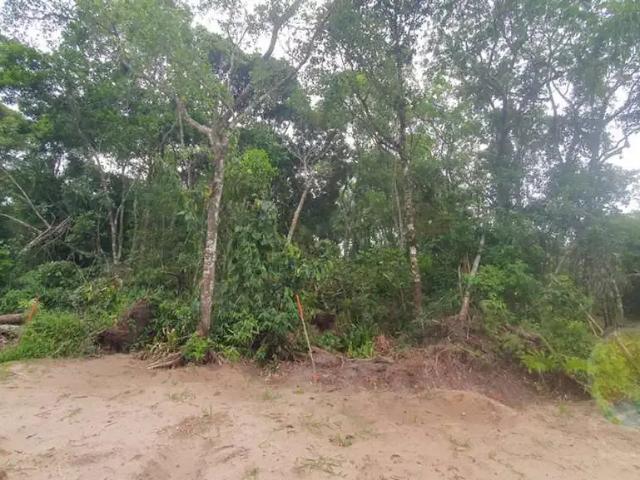 Terreno venda em Região Geográfica Imediata de Joinville, Itapoá