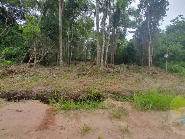 Terreno venda em Região Geográfica Imediata de Joinville, Itapoá