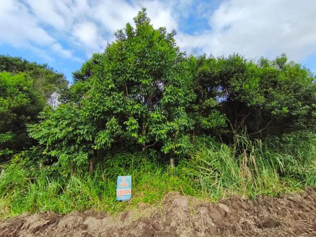 Terreno venda em Região Geográfica Imediata de Joinville, Itapoá