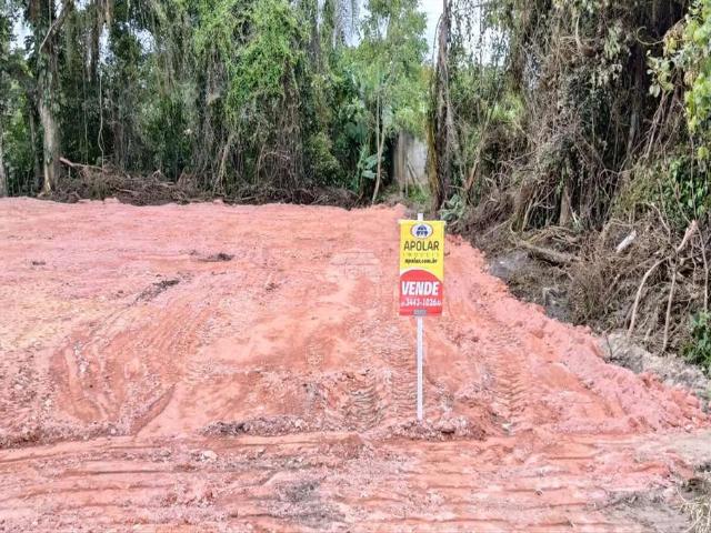 Terreno venda em Loteamento Real de Itapoá, Itapoá