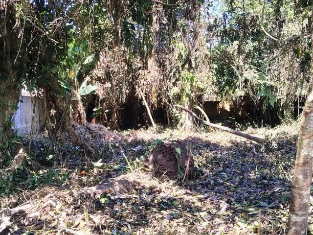 Terreno venda em Loteamento Itapema Norte, Itapoá