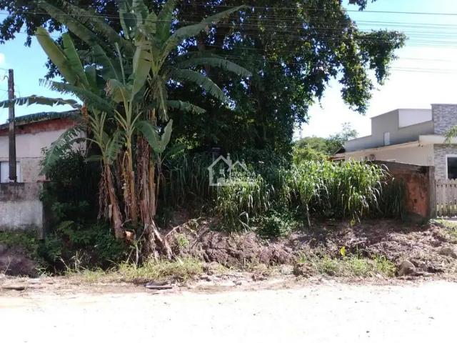 Terreno venda em Loteamento Itapema Norte, Itapoá