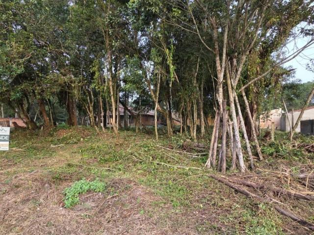 Terreno venda em Bamerindus, Itapoá