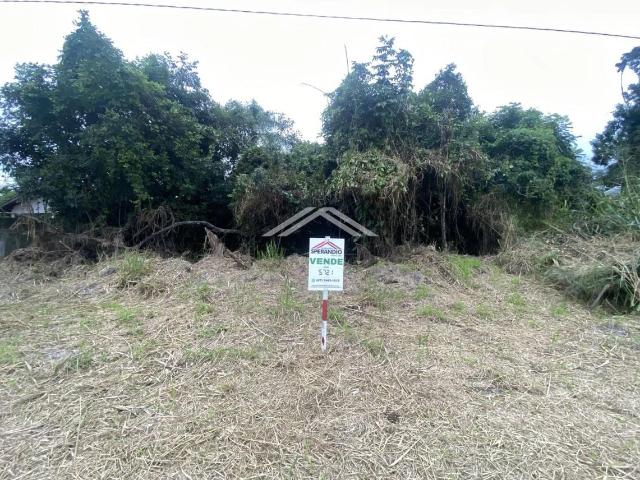 Terreno venda em Loteamento das Palmeiras, Itapoá