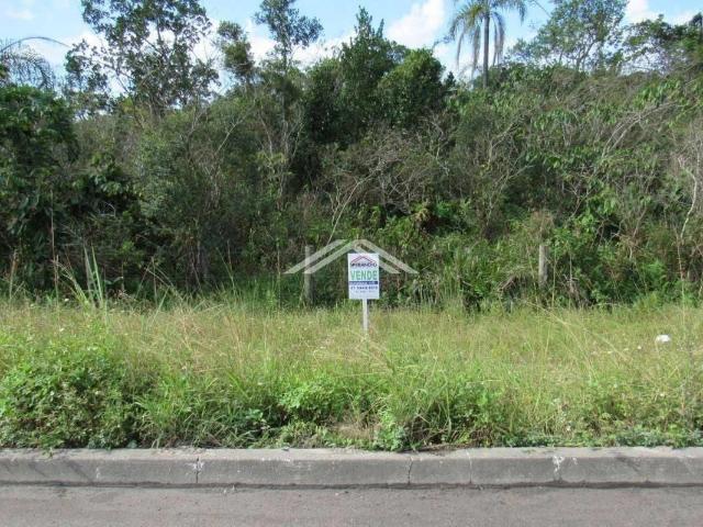 Terreno venda em Figueira do Pontal, Itapoá