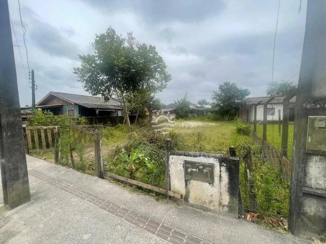 Terreno venda em Samambaial, Itapoá