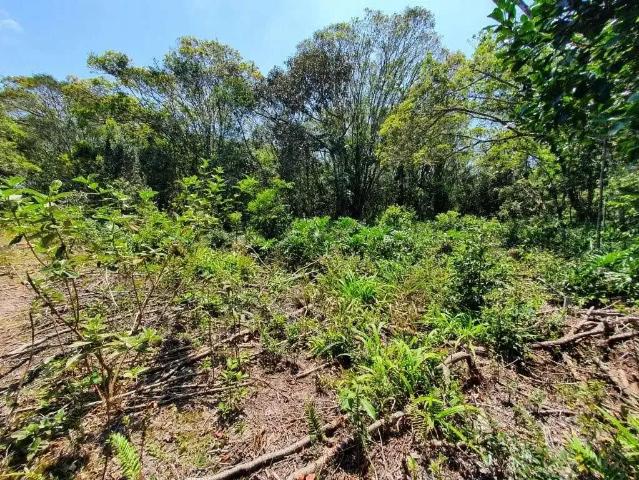 Terreno venda em Região Geográfica Imediata de Joinville, Itapoá