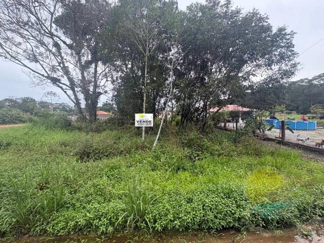 Terreno venda em Pontal do Norte, Itapoá