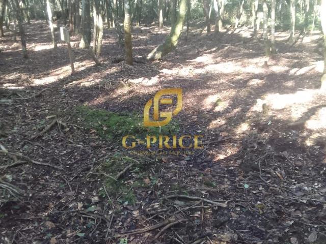 Terreno venda em Pontal do Norte, Itapoá