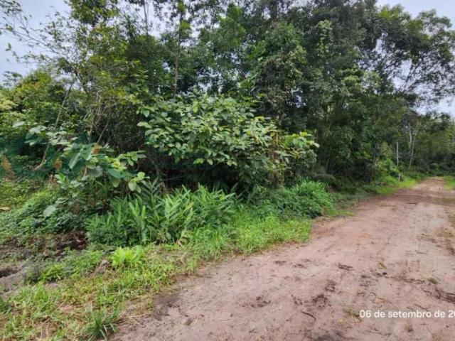Terreno venda em Pontal do Norte, Itapoá