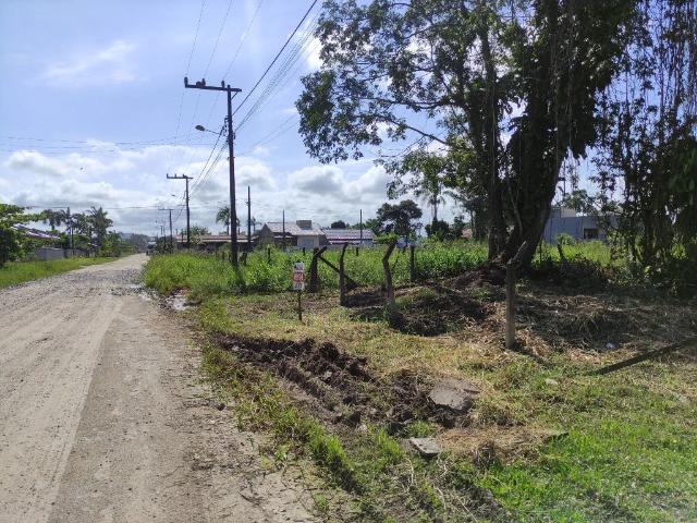 Terreno venda em Pontal do Norte, Itapoá