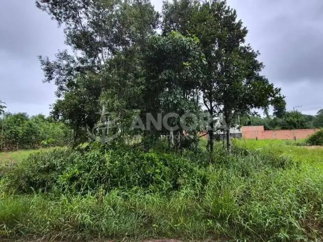 Terreno venda em Região Geográfica Imediata de Joinville, Itapoá
