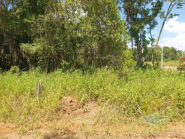 Terreno venda em Região Geográfica Imediata de Joinville, Itapoá