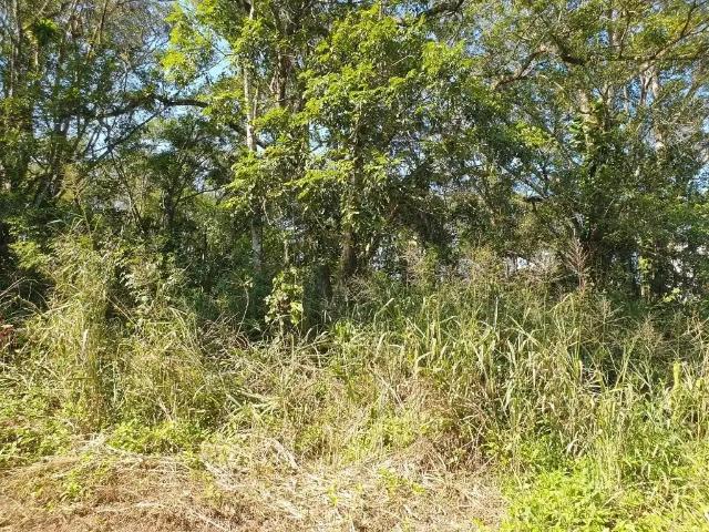 Terreno venda em Região Geográfica Imediata de Joinville, Itapoá