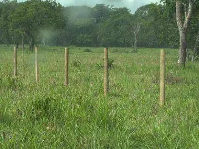 Terreno venda em Região Geográfica Imediata de Rondonópolis, Itiquira