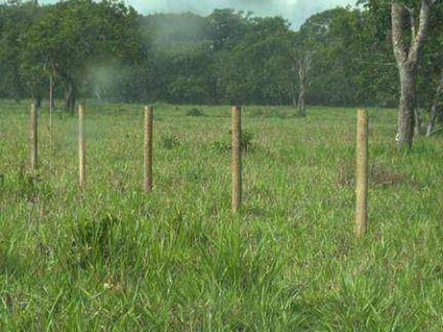 Terreno venda em Itiquira, Região Geográfica Intermediária de Rondonópolis