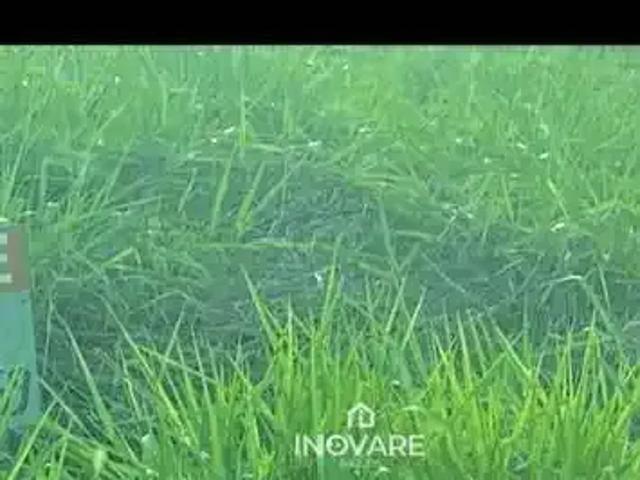 Terreno venda em Região Geográfica Imediata de Itumbiara, Itumbiara