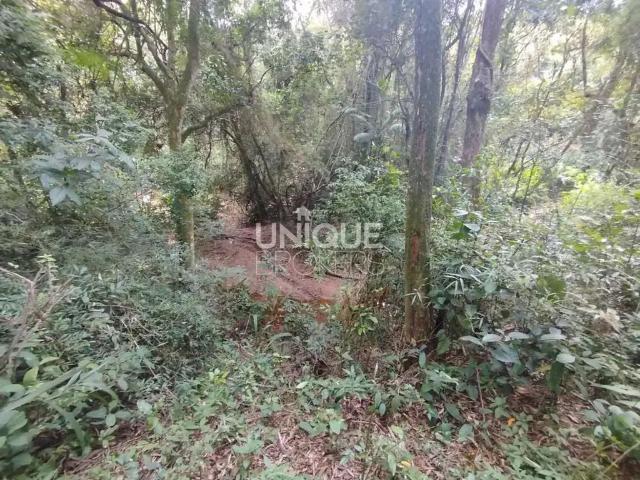 Terreno venda em Região Imediata de Jundiaí, Itupeva
