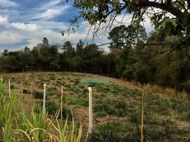 Terreno venda em Região Imediata de Jundiaí, Cabreuva