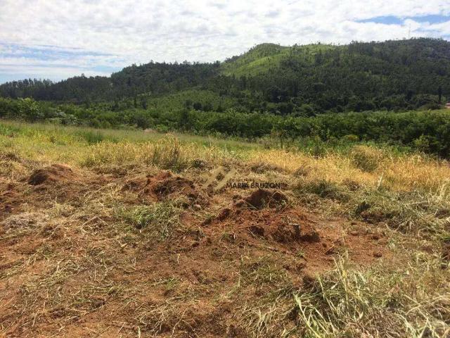 Terreno venda em Região Imediata de Itapeva, Itapeva