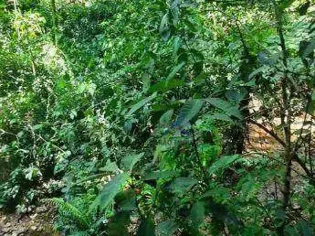 Terreno venda em Região Imediata de Jundiaí, Itupeva