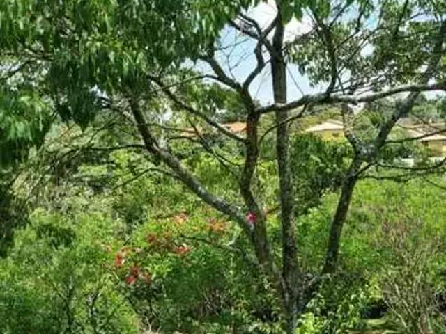 Terreno venda em Região Imediata de Jundiaí, Itupeva