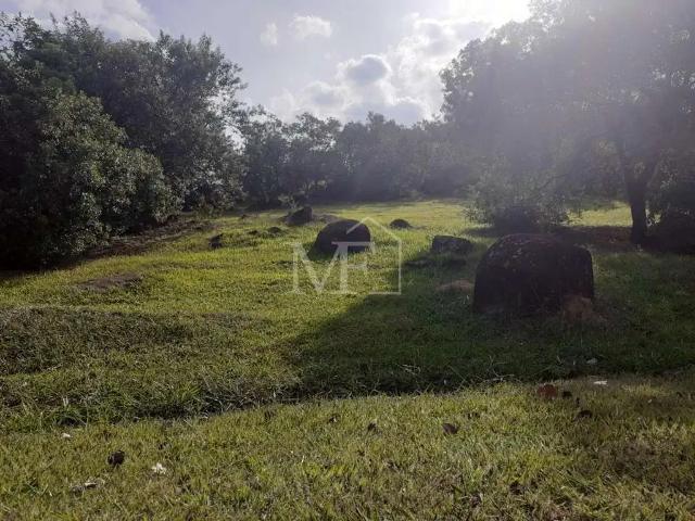 Terreno venda em Região Imediata de Jundiaí, Itupeva