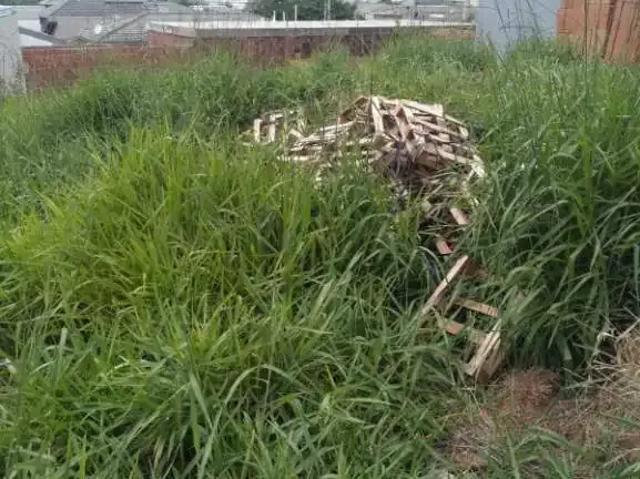 Terreno venda em Região Imediata de Itapeva, Itapeva