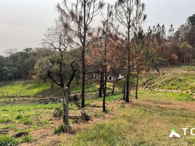 Terreno venda em Região Imediata de Sorocaba, Região Metropolitana de Sorocaba