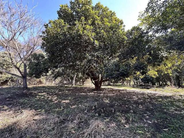 Terreno venda em Região Imediata de Sorocaba, Região Metropolitana de Sorocaba