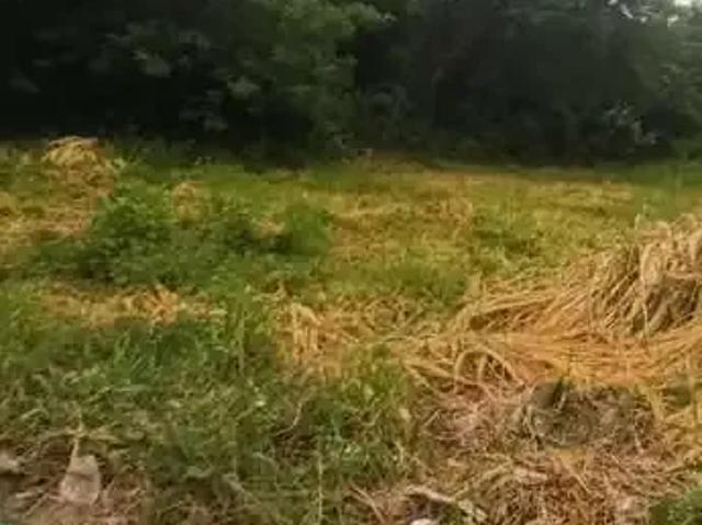 Terreno venda em Região Imediata de Sorocaba, Região Metropolitana de Sorocaba