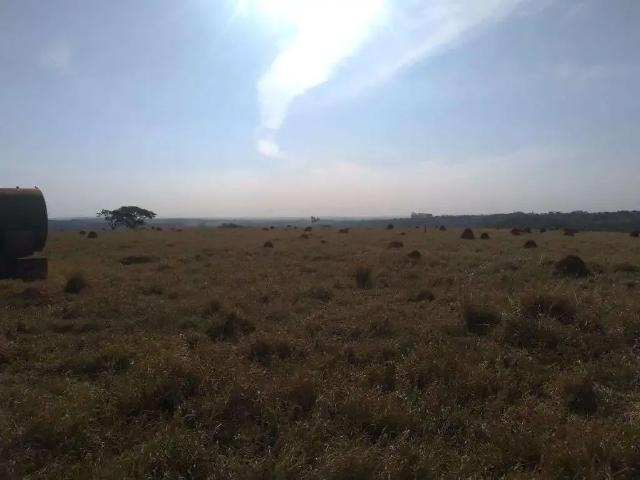 Terreno venda em Região Imediata de Guaratinguetá, Região Metropolitana do Vale do Paraíba e Litoral Norte