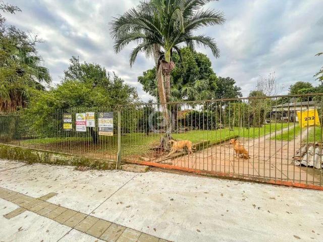 Terreno venda em Região Geográfica Imediata de Novo Hamburgo - São Leopoldo, Região Metropolitana de Porto Alegre