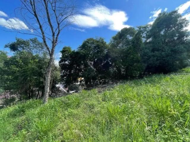 Terreno venda em Região Geográfica Imediata de Novo Hamburgo - São Leopoldo, Região Metropolitana de Porto Alegre