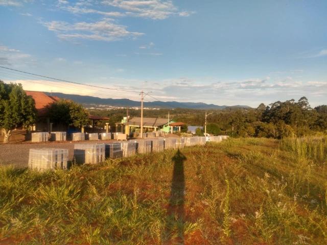 Terreno venda em Ivoti