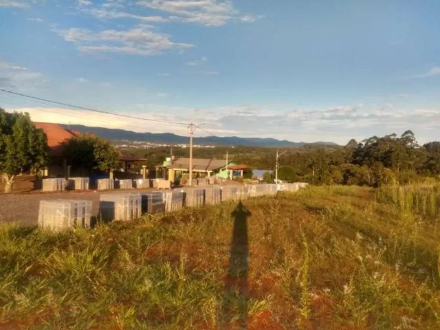 Terreno venda em Ivoti