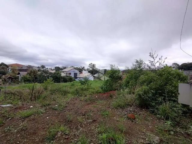 Terreno venda em Ivoti