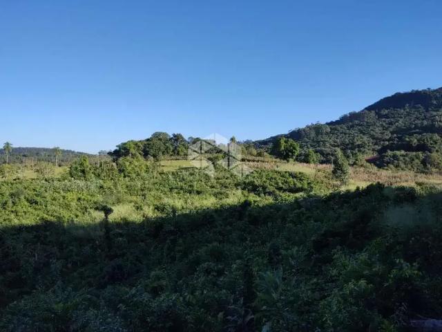 Terreno venda em Região Geográfica Imediata de Novo Hamburgo - São Leopoldo, Região Metropolitana de Porto Alegre