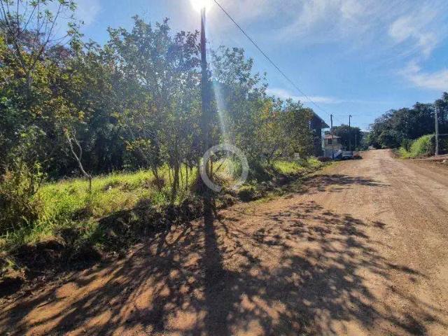 Terreno venda em Região Geográfica Imediata de Novo Hamburgo - São Leopoldo, Região Metropolitana de Porto Alegre