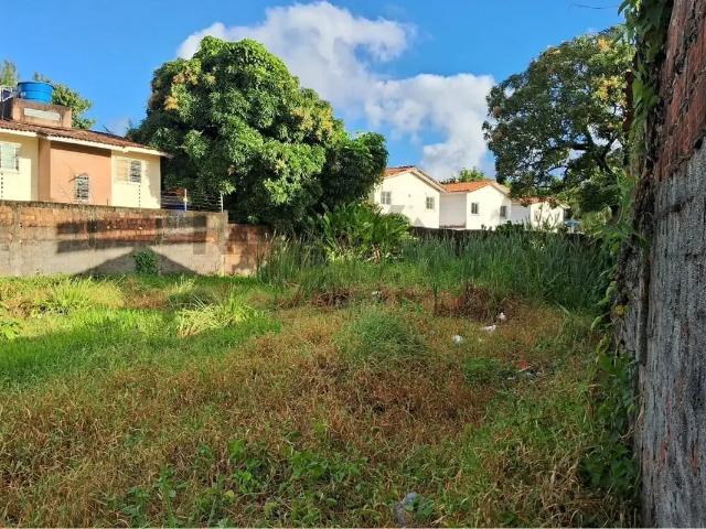 Terreno venda em Região Geográfica Imediata do Recife, Região Metropolitana do Recife