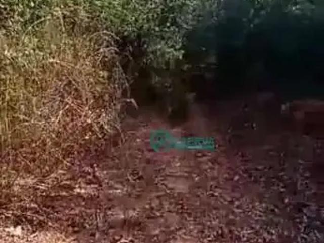Terreno venda em Região Geográfica Imediata de Belo Horizonte, Região Metropolitana de Belo Horizonte
