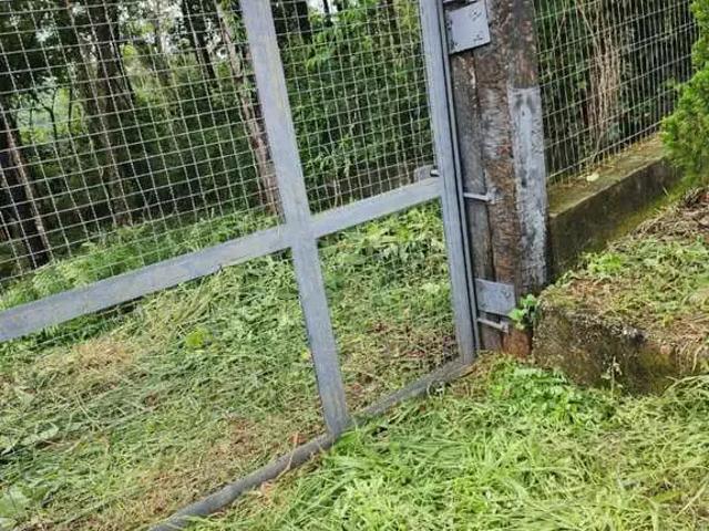 Terreno venda em Região Geográfica Imediata de Belo Horizonte, Região Metropolitana de Belo Horizonte