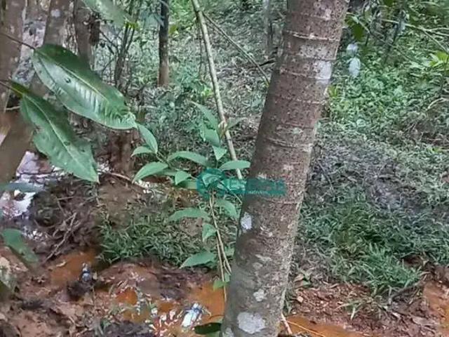 Terreno venda em Região Geográfica Imediata de Belo Horizonte, Região Metropolitana de Belo Horizonte