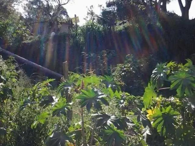 Terreno venda em Região Imediata de São José dos Campos, Região Metropolitana do Vale do Paraíba e Litoral Norte