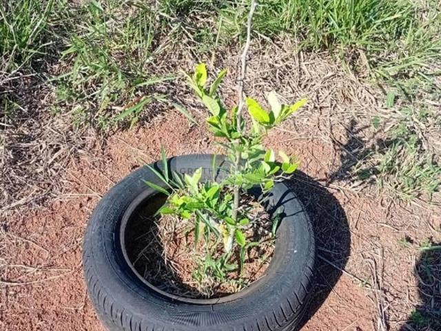 Terreno venda em Jardim Pereira do Amparo, Jacareí