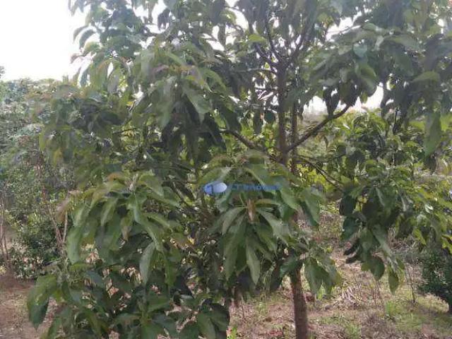 Terreno venda em Região Imediata de São José dos Campos, Região Metropolitana do Vale do Paraíba e Litoral Norte